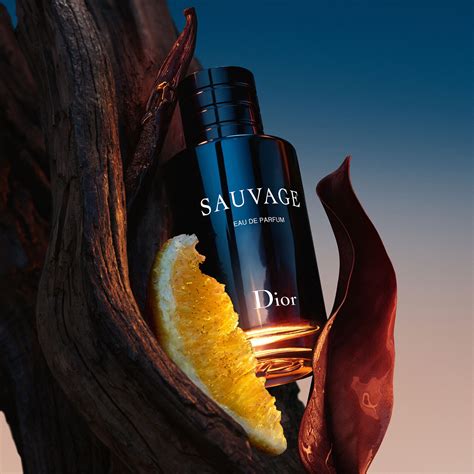 prix eau de parfum sauvage dior|dior sauvage edp perfume shop.